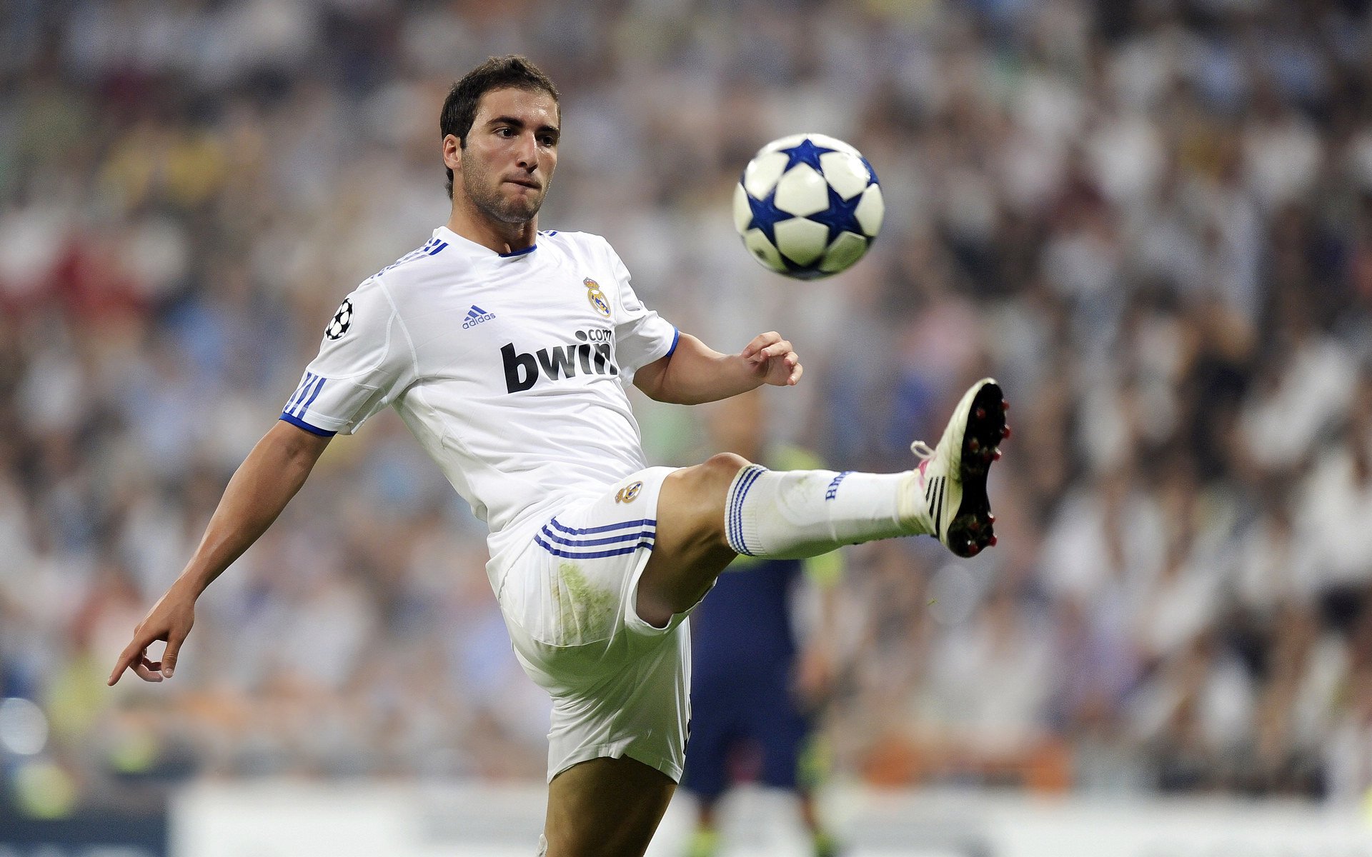 冰岛队在欧预赛中大胜一场,晋级前景一片光明,冰岛队没进欧洲杯